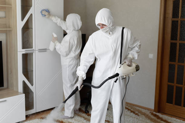 Best Crawl Space Mold Removal  in Elizabeth, NJ